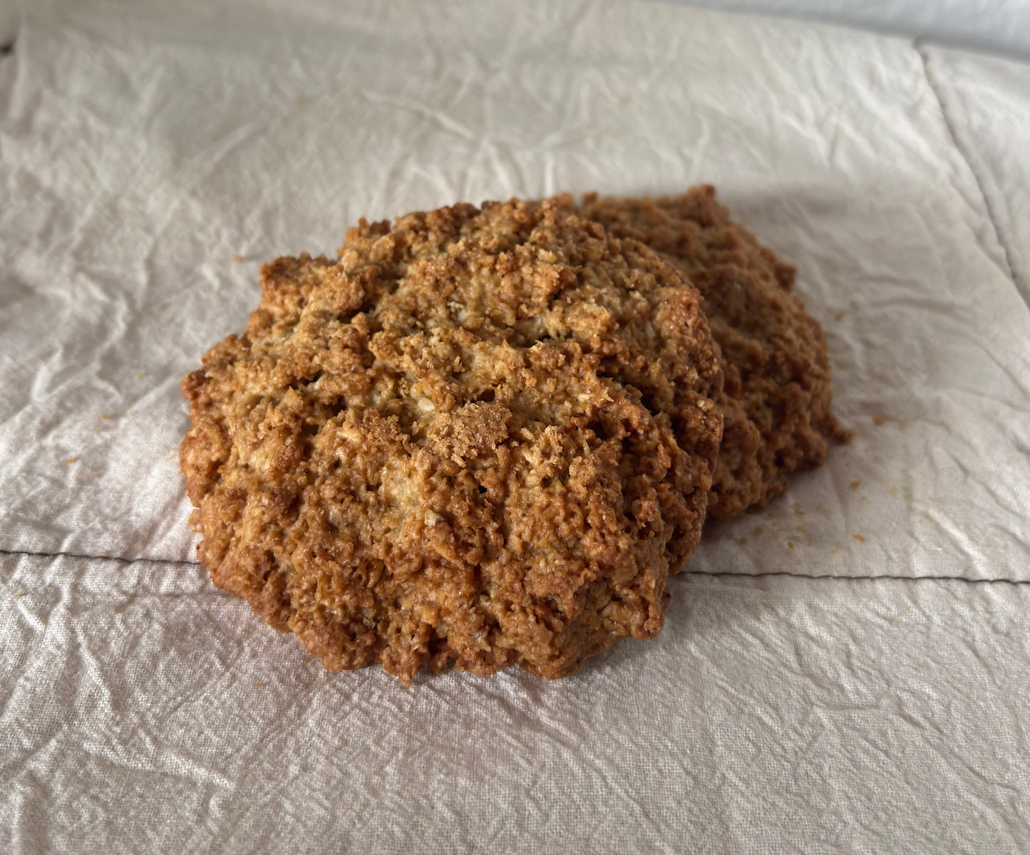 Galletas de Avena, Coco y Miel